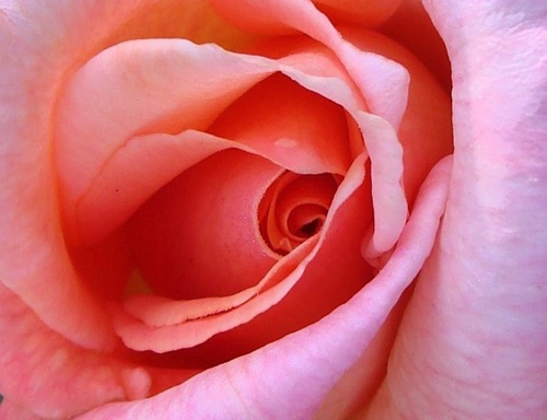 Inner Beauty